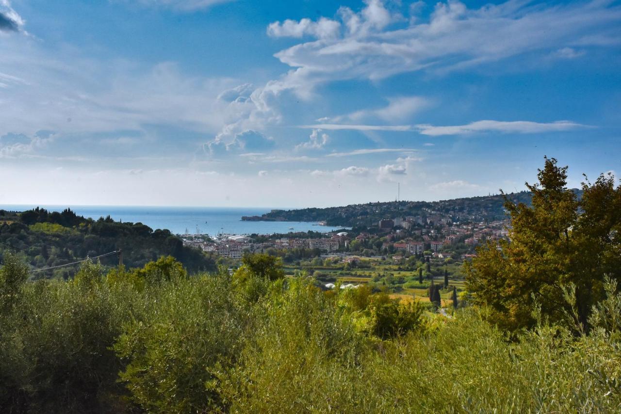 Apartma Med Oljkami - Portoroz Luaran gambar